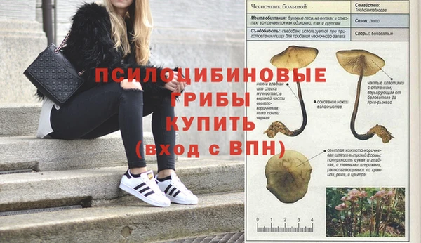 spice Алзамай