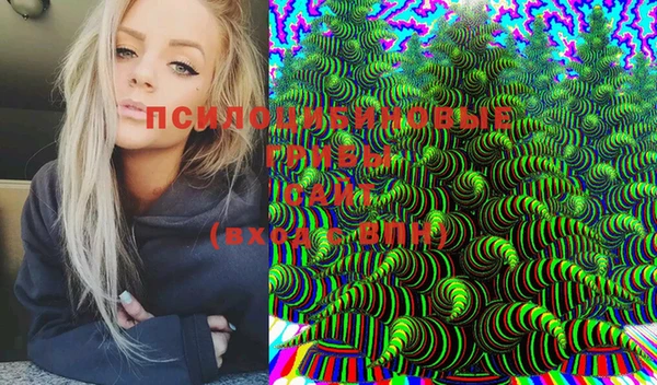 spice Алзамай