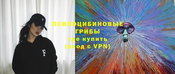 spice Алзамай