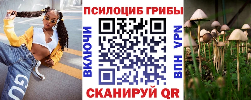 Галлюциногенные грибы Psilocybe  закладка  ссылка на мегу ТОР  Апатиты 